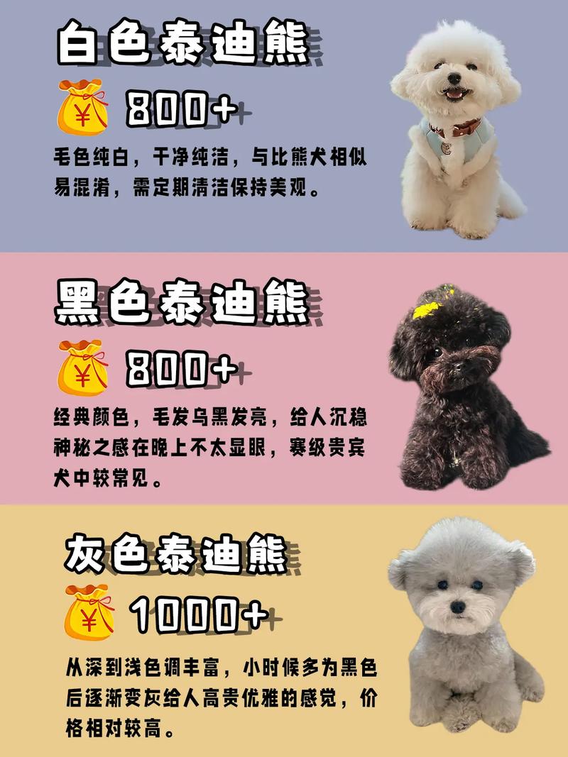 狗狗配种多少钱,狗狗配种多少钱合适-第3张图片-后鲨宠物 狗狗配种多少钱,狗狗配种多少钱合适-第3张图片-后鲨宠物