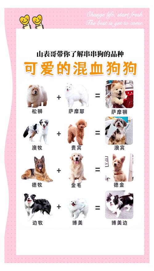 狗狗配种多少钱,狗狗配种多少钱合适-第5张图片-后鲨宠物 狗狗配种多少钱,狗狗配种多少钱合适-第5张图片-后鲨宠物