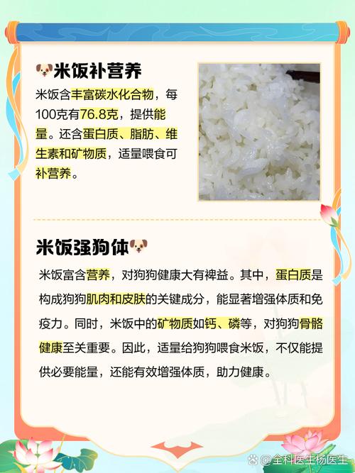 狗狗能吃大米饭吗,胰腺炎狗狗能吃大米饭吗?-第5张图片-后鲨宠物 狗狗能吃大米饭吗,胰腺炎狗狗能吃大米饭吗?-第5张图片-后鲨宠物