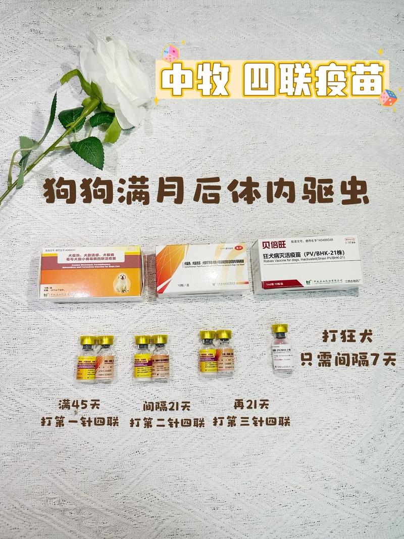  狗狗打多少针疫苗，狗狗一般打多少针疫苗-第6张图片-后鲨宠物