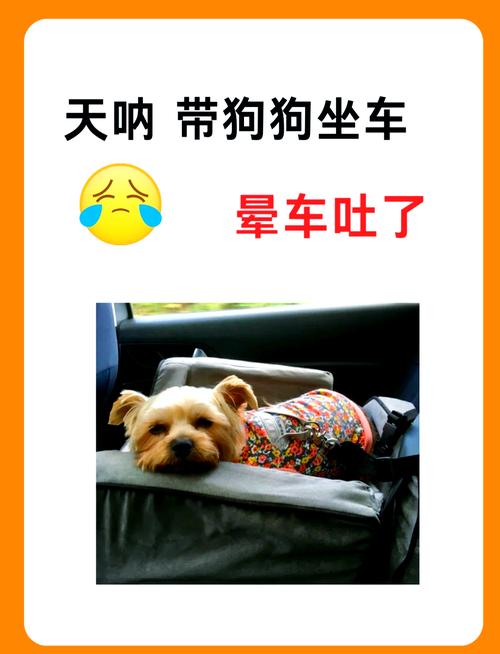 狗狗上吐下泻怎么办_狗狗上吐下泻怎么办小妙招