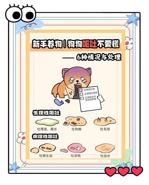 狗狗上吐下泻怎么办_狗狗上吐下泻怎么办小妙招-第4张图片-后鲨宠物 狗狗上吐下泻怎么办_狗狗上吐下泻怎么办小妙招-第4张图片-后鲨宠物