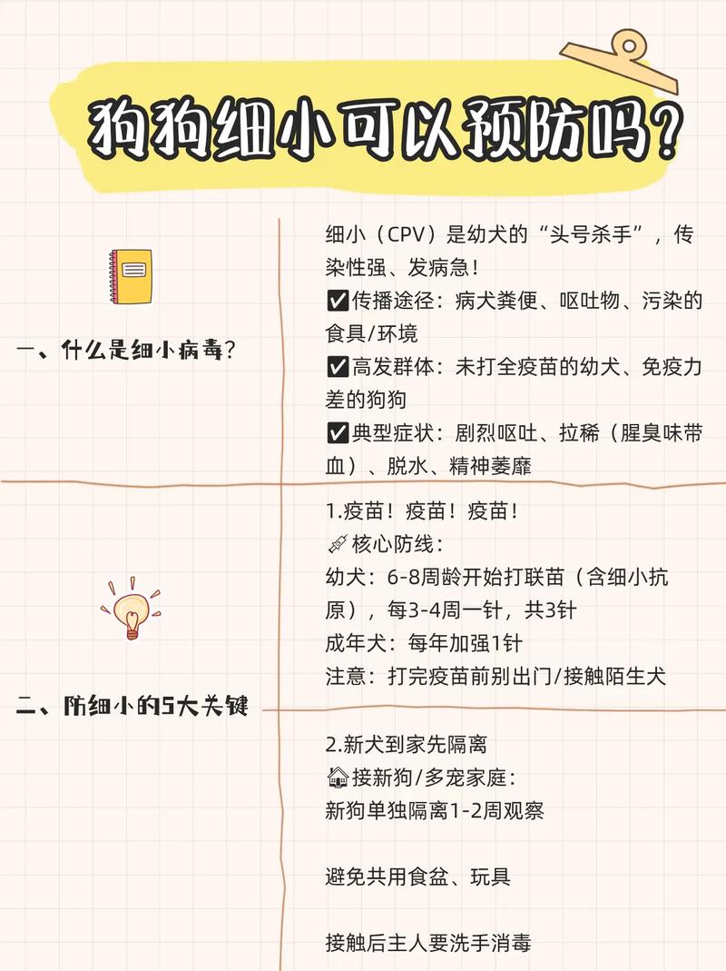 怎么预防狗狗得细小，怎么预防狗狗得细小病毒和冠状病毒？-第5张图片-后鲨宠物