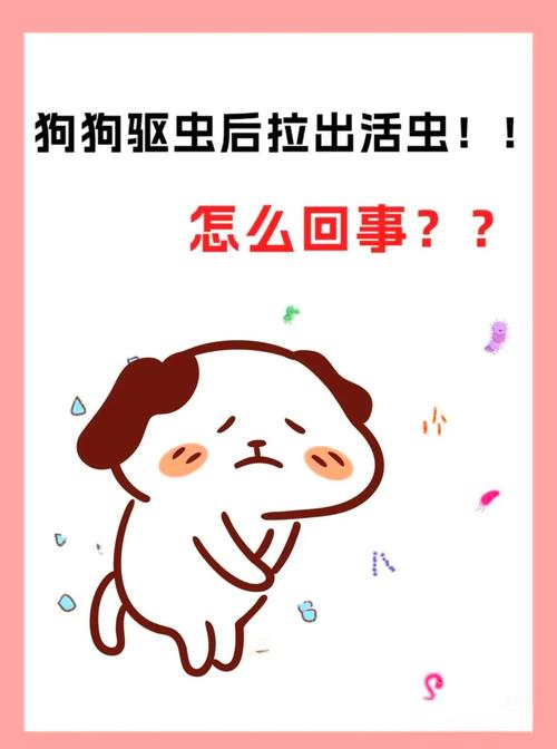狗狗拉出虫子怎么办_狗狗拉出虫子是怎么回事-第2张图片-后鲨宠物
