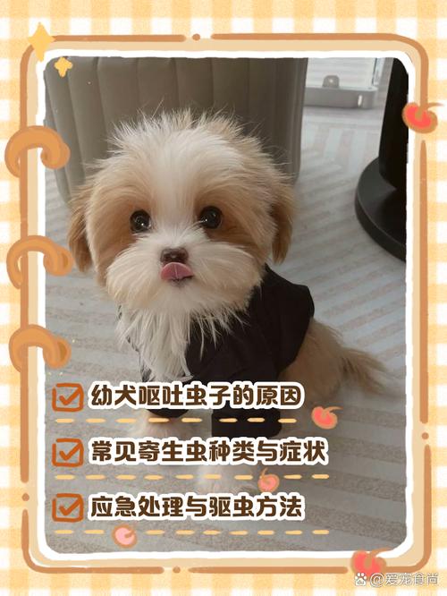 狗狗拉出虫子怎么办_狗狗拉出虫子是怎么回事-第3张图片-后鲨宠物