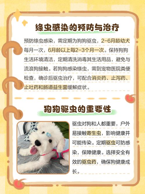 狗狗拉出虫子怎么办_狗狗拉出虫子是怎么回事-第6张图片-后鲨宠物