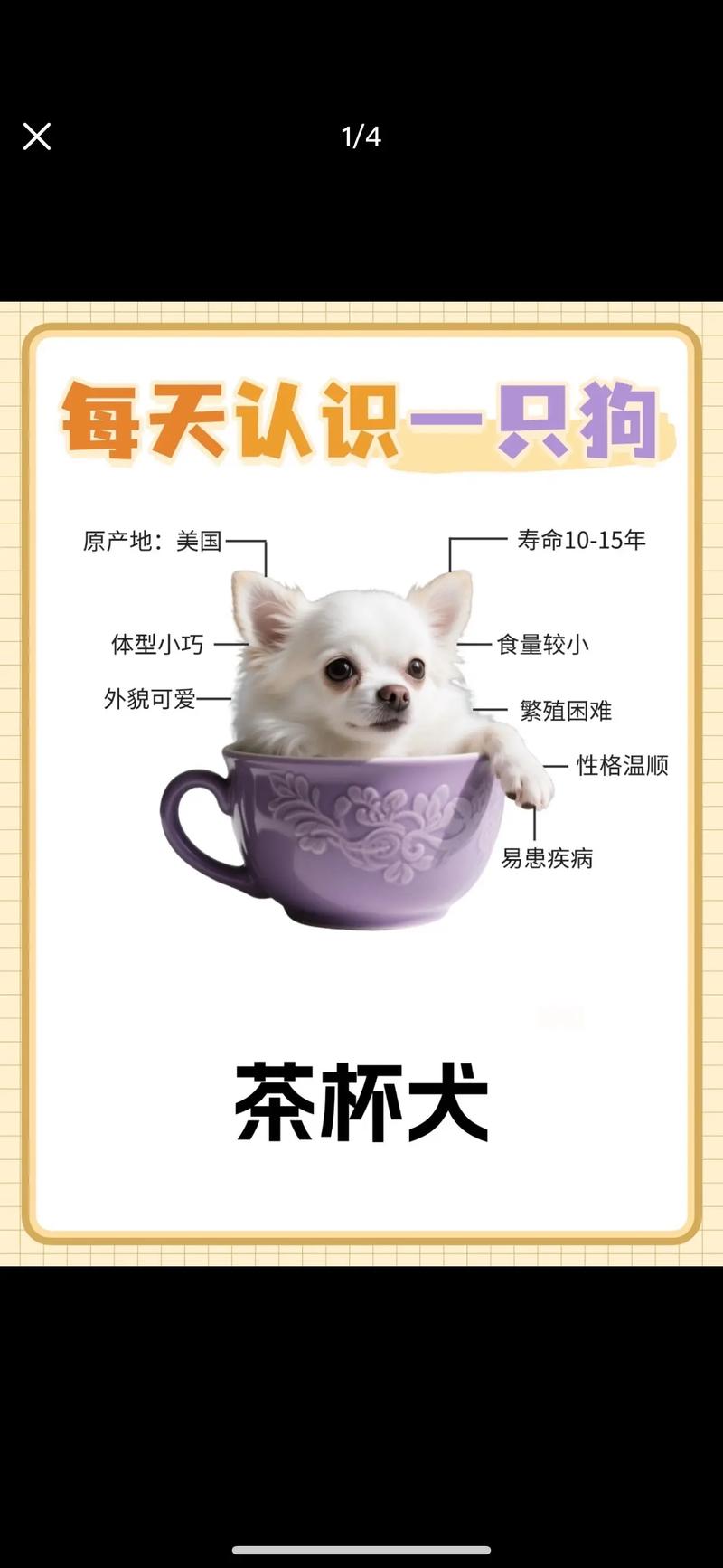 狗狗能吃茶叶吗_狗能吃茶水吗-第2张图片-后鲨宠物 狗狗能吃茶叶吗_狗能吃茶水吗-第2张图片-后鲨宠物