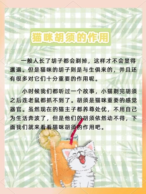 猫咪胡子的作用,猫须有什么作用玄学-第5张图片-后鲨宠物 猫咪胡子的作用,猫须有什么作用玄学-第5张图片-后鲨宠物