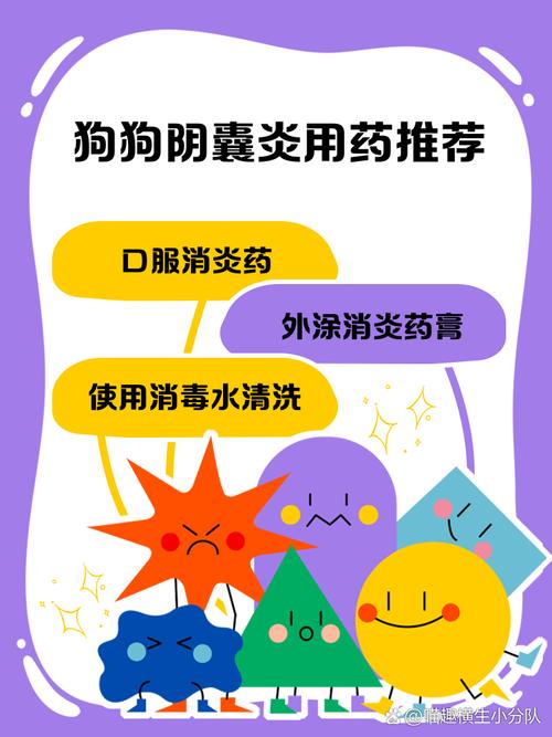 狗狗蛋蛋红肿是什么原因,狗狗蛋蛋红肿怎么办?-第3张图片-后鲨宠物 狗狗蛋蛋红肿是什么原因,狗狗蛋蛋红肿怎么办?-第3张图片-后鲨宠物