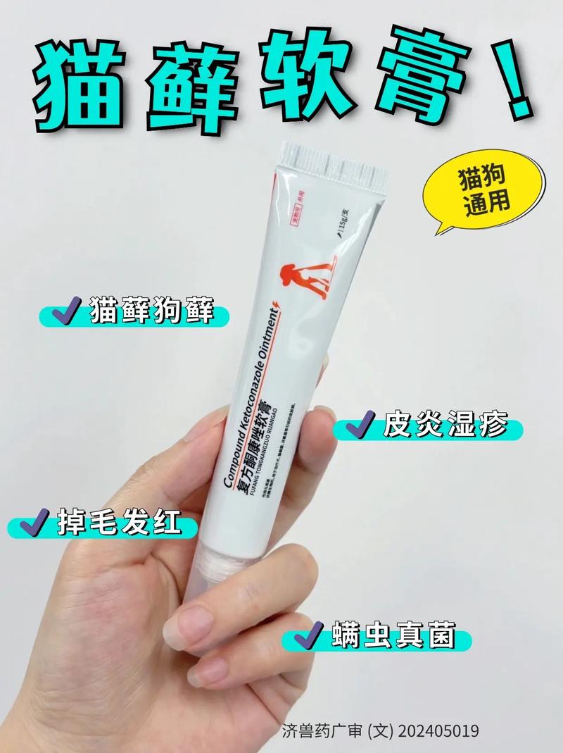 猫咪得猫藓用什么药_猫咪得猫癣用什么药-第1张图片-后鲨宠物 猫咪得猫藓用什么药_猫咪得猫癣用什么药-第1张图片-后鲨宠物