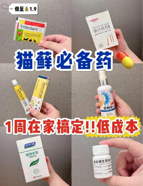 猫咪得猫藓用什么药_猫咪得猫癣用什么药-第2张图片-后鲨宠物 猫咪得猫藓用什么药_猫咪得猫癣用什么药-第2张图片-后鲨宠物