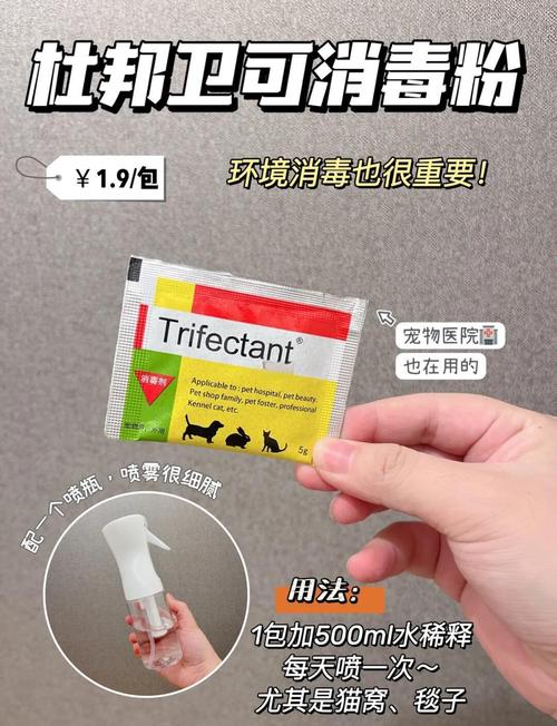 猫咪得猫藓用什么药_猫咪得猫癣用什么药-第3张图片-后鲨宠物 猫咪得猫藓用什么药_猫咪得猫癣用什么药-第3张图片-后鲨宠物