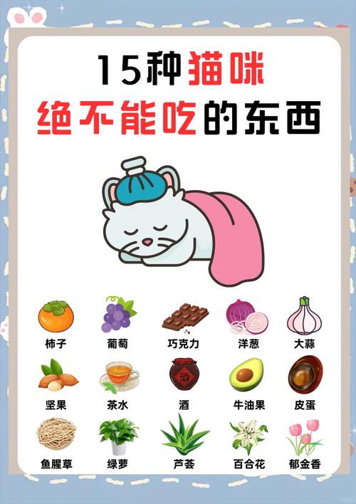  猫咪能吃雪糕吗，猫可以吃雪糕冰淇淋吗巧克力味的