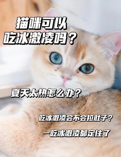 猫咪能吃雪糕吗,猫可以吃雪糕冰淇淋吗巧克力味的-第3张图片-后鲨宠物 猫咪能吃雪糕吗,猫可以吃雪糕冰淇淋吗巧克力味的-第3张图片-后鲨宠物