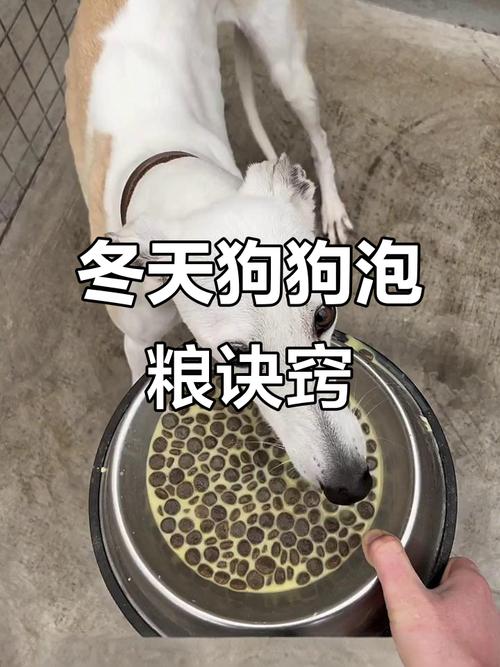 狗狗拉肚子能喝羊奶吗_狗狗拉稀了可以喝羊奶吗-第4张图片-后鲨宠物 狗狗拉肚子能喝羊奶吗_狗狗拉稀了可以喝羊奶吗-第4张图片-后鲨宠物