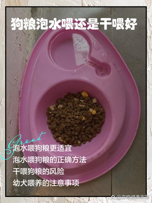 狗狗拉肚子能喝羊奶吗_狗狗拉稀了可以喝羊奶吗-第5张图片-后鲨宠物 狗狗拉肚子能喝羊奶吗_狗狗拉稀了可以喝羊奶吗-第5张图片-后鲨宠物