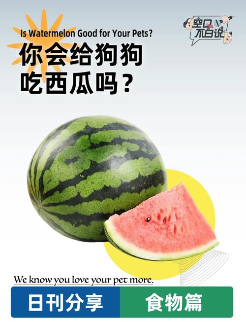 狗狗能吃西瓜皮吗,狗狗能吃西瓜皮吗为什么?-第5张图片-后鲨宠物 狗狗能吃西瓜皮吗,狗狗能吃西瓜皮吗为什么?-第5张图片-后鲨宠物
