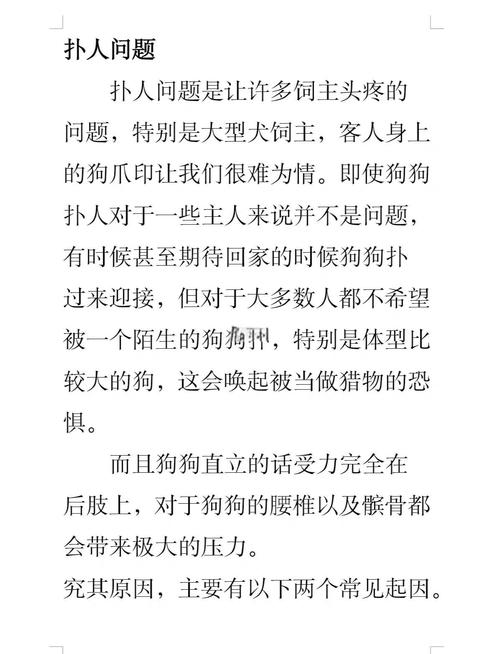 如何训练狗狗不扑人,怎样教狗狗不扑人?-第3张图片-后鲨宠物 如何训练狗狗不扑人,怎样教狗狗不扑人?-第3张图片-后鲨宠物
