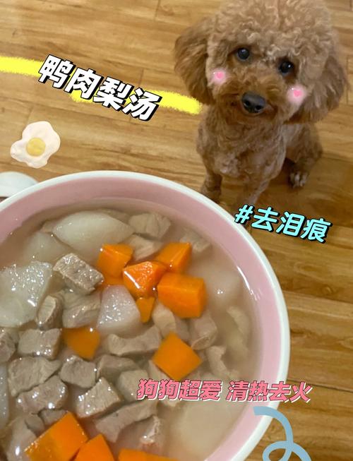 狗狗可以吃鸭肉吗,狗狗可以吃鸭肉吗 烤的-第2张图片-后鲨宠物 狗狗可以吃鸭肉吗,狗狗可以吃鸭肉吗 烤的-第2张图片-后鲨宠物
