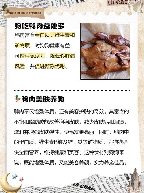 狗狗可以吃鸭肉吗,狗狗可以吃鸭肉吗 烤的-第4张图片-后鲨宠物 狗狗可以吃鸭肉吗,狗狗可以吃鸭肉吗 烤的-第4张图片-后鲨宠物