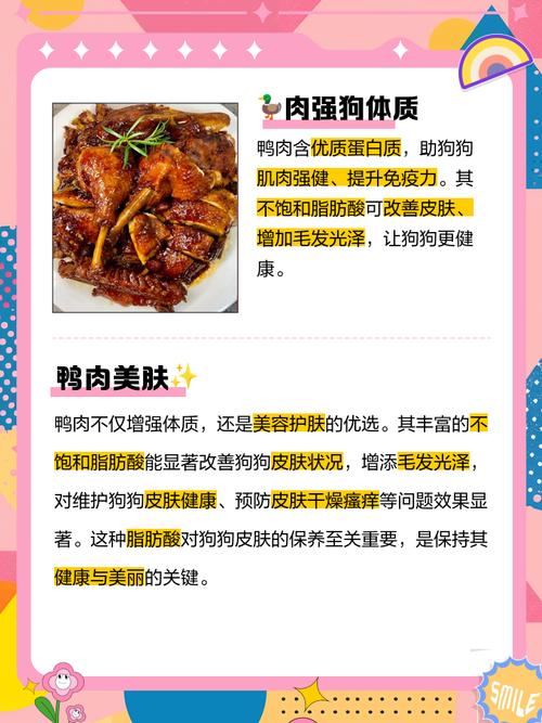 狗狗可以吃鸭肉吗,狗狗可以吃鸭肉吗 烤的-第5张图片-后鲨宠物 狗狗可以吃鸭肉吗,狗狗可以吃鸭肉吗 烤的-第5张图片-后鲨宠物