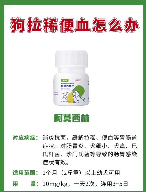 狗狗拉肚子带血吃什么药_小狗拉肚子带点血丝该吃点什么药-第3张图片-后鲨宠物 狗狗拉肚子带血吃什么药_小狗拉肚子带点血丝该吃点什么药-第3张图片-后鲨宠物