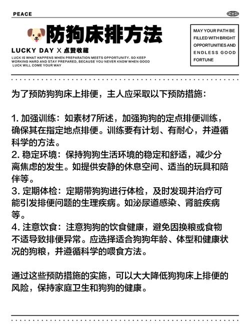  狗狗拉屎怎么办，狗狗软便怎么办最有效的方法