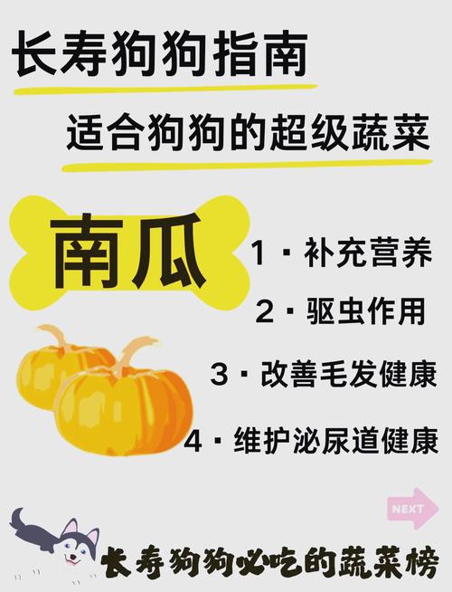 狗狗吃南瓜好吗_狗狗吃南瓜好吗怎么吃-第5张图片-后鲨宠物