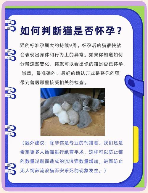 怎么知道猫咪有没有怀孕,怎么看出来猫咪有没有怀孕-第5张图片-后鲨宠物 怎么知道猫咪有没有怀孕,怎么看出来猫咪有没有怀孕-第5张图片-后鲨宠物