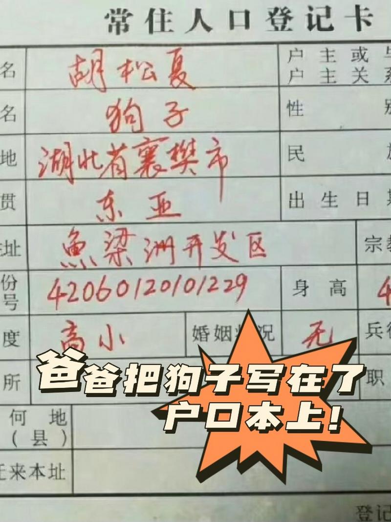 狗狗上户口有什么好处_狗狗上户口要钱吗