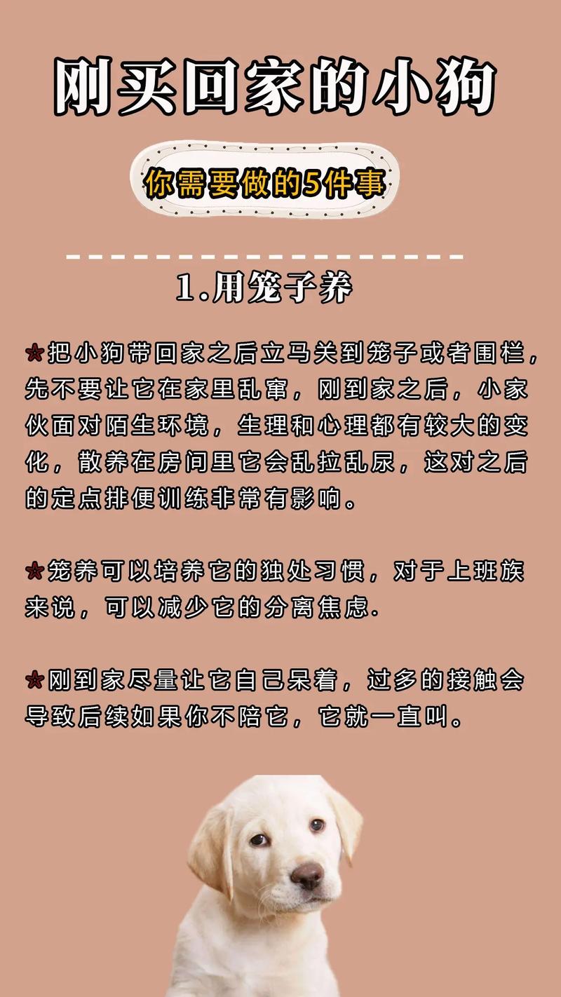 狗狗上户口有什么好处_狗狗上户口要钱吗-第2张图片-后鲨宠物 狗狗上户口有什么好处_狗狗上户口要钱吗-第2张图片-后鲨宠物