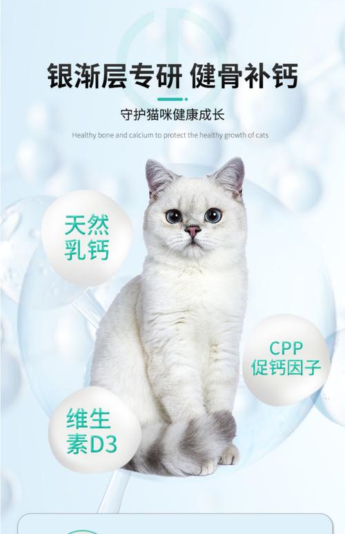 猫咪补钙吃什么好,猫咪补钙吃啥-第1张图片-后鲨宠物 猫咪补钙吃什么好,猫咪补钙吃啥-第1张图片-后鲨宠物