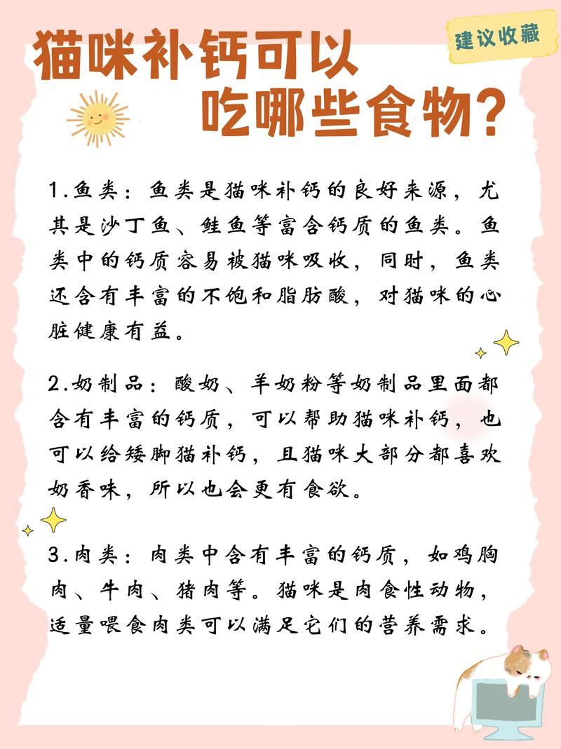 猫咪补钙吃什么好,猫咪补钙吃啥-第2张图片-后鲨宠物 猫咪补钙吃什么好,猫咪补钙吃啥-第2张图片-后鲨宠物