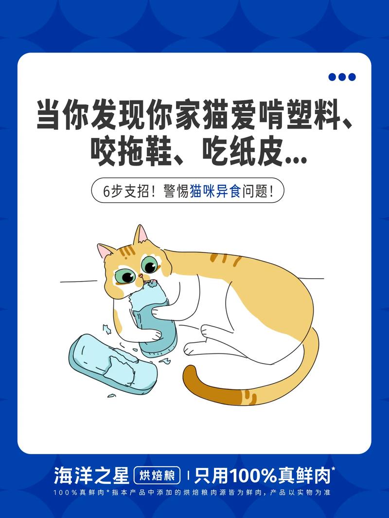 猫咪为什么喜欢舔塑料袋，猫咪为什么总爱舔塑料袋？-第1张图片-后鲨宠物