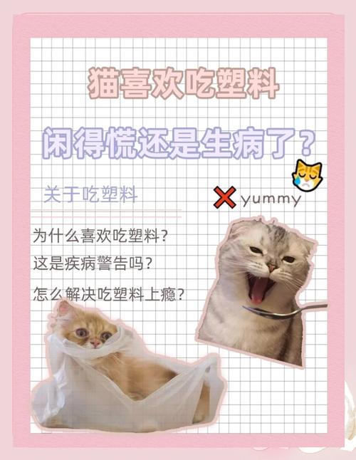 猫咪为什么喜欢舔塑料袋，猫咪为什么总爱舔塑料袋？-第5张图片-后鲨宠物
