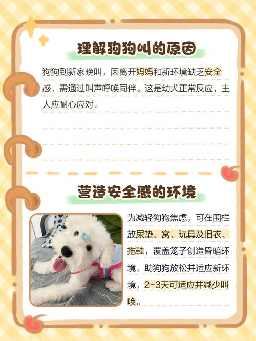 狗狗不叫是什么原因,狗狗不叫正常吗-第4张图片-后鲨宠物 狗狗不叫是什么原因,狗狗不叫正常吗-第4张图片-后鲨宠物