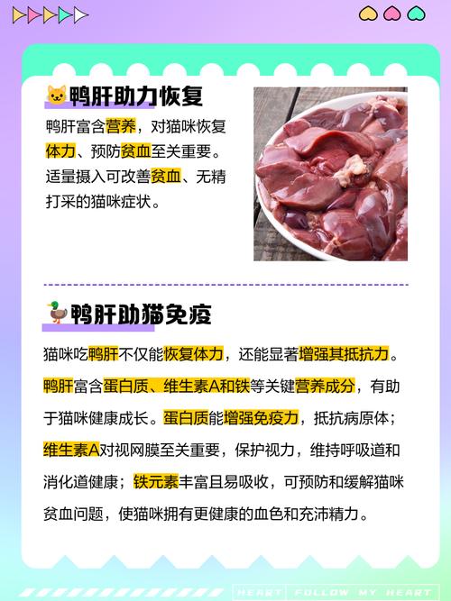 猫咪能吃鸭肝吗,猫咪可以吃鸭肝脏吗-第3张图片-后鲨宠物 猫咪能吃鸭肝吗,猫咪可以吃鸭肝脏吗-第3张图片-后鲨宠物