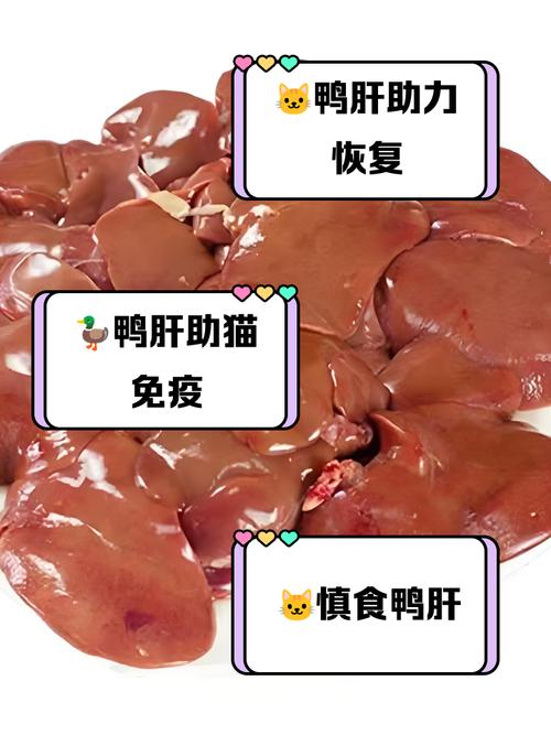 猫咪能吃鸭肝吗,猫咪可以吃鸭肝脏吗-第4张图片-后鲨宠物 猫咪能吃鸭肝吗,猫咪可以吃鸭肝脏吗-第4张图片-后鲨宠物