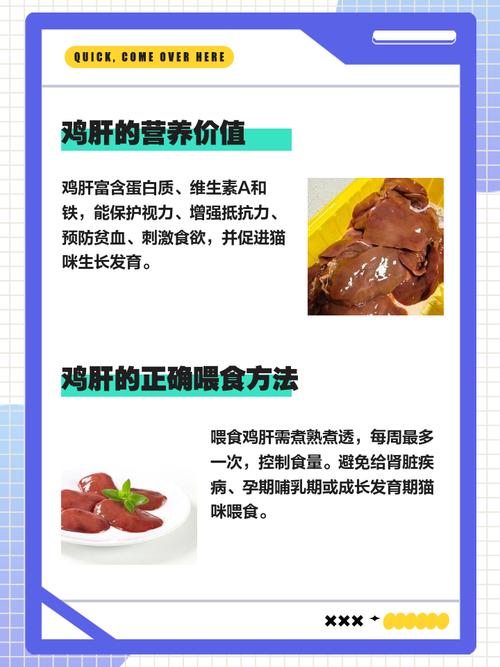 猫咪能吃鸭肝吗,猫咪可以吃鸭肝脏吗-第5张图片-后鲨宠物 猫咪能吃鸭肝吗,猫咪可以吃鸭肝脏吗-第5张图片-后鲨宠物