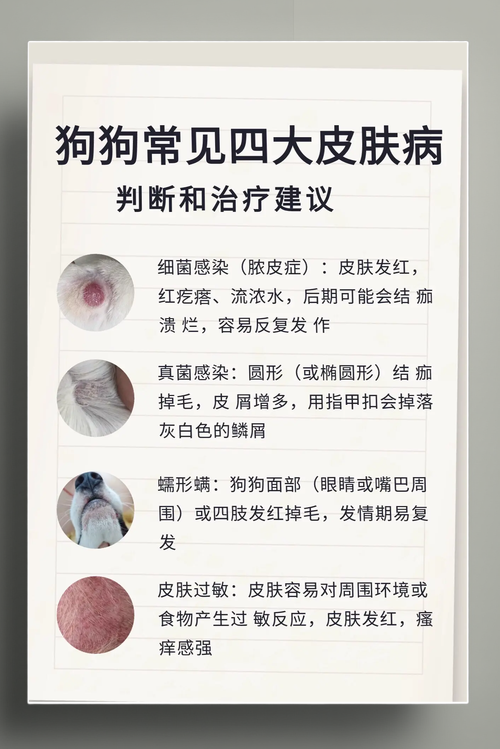 狗狗身上皮肤病怎么治_狗狗身上皮肤病怎么治疗-第3张图片-后鲨宠物