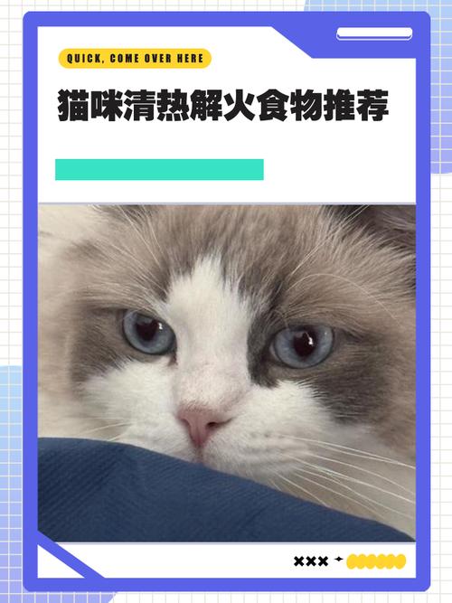 猫咪吃什么降火,猫咪吃啥降火?-第2张图片-后鲨宠物 猫咪吃什么降火,猫咪吃啥降火?-第2张图片-后鲨宠物