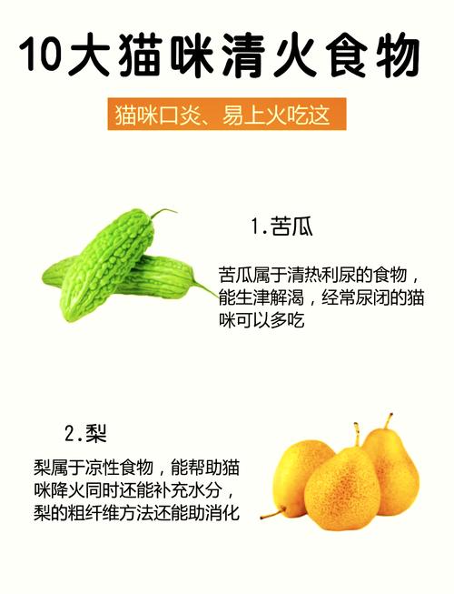 猫咪吃什么降火,猫咪吃啥降火?-第3张图片-后鲨宠物 猫咪吃什么降火,猫咪吃啥降火?-第3张图片-后鲨宠物