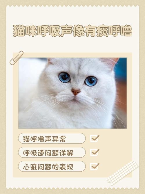 猫咪睡觉呼吸声像鼻塞,猫咪睡觉呼吸声像鼻塞过一会就没了?-第2张图片-后鲨宠物 猫咪睡觉呼吸声像鼻塞,猫咪睡觉呼吸声像鼻塞过一会就没了?-第2张图片-后鲨宠物