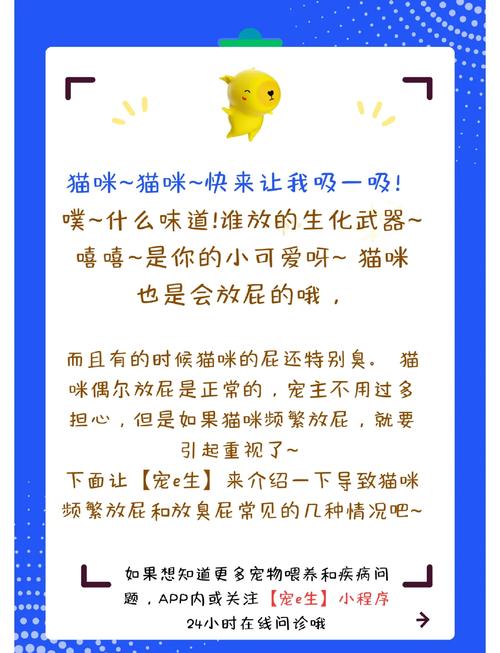 猫咪老放屁是怎么回事,猫老是放屁正常吗-第2张图片-后鲨宠物 猫咪老放屁是怎么回事,猫老是放屁正常吗-第2张图片-后鲨宠物