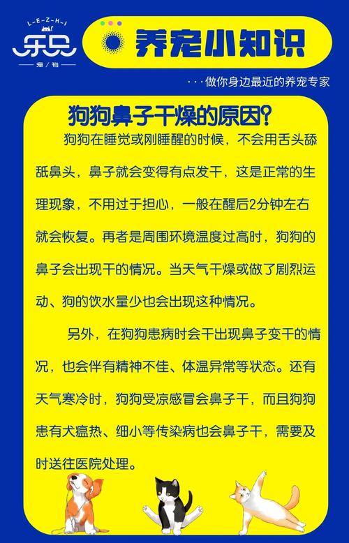 狗狗鼻子干是怎么回事_小狗状态好但是鼻子干-第3张图片-后鲨宠物
