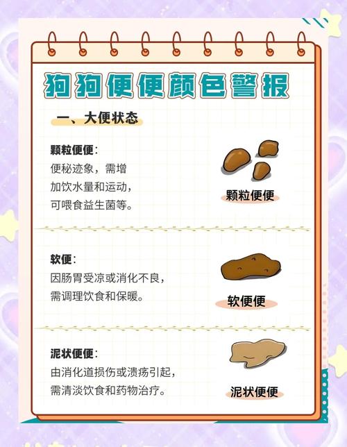 怎么知道狗狗要大小便_怎么才能知道狗狗要拉屎-第4张图片-后鲨宠物 怎么知道狗狗要大小便_怎么才能知道狗狗要拉屎-第4张图片-后鲨宠物