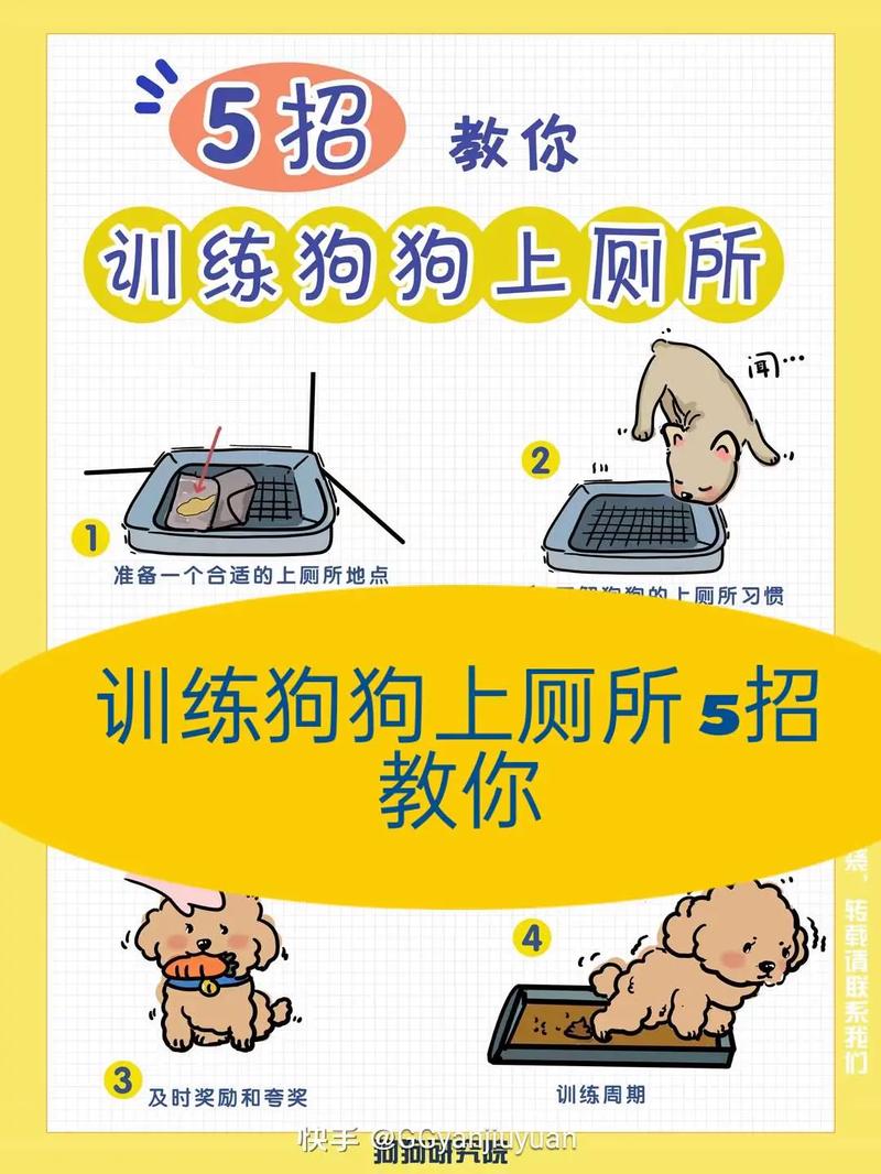 如何训练狗狗在外面拉屎,如何训练狗狗在外面拉屎拉尿-第3张图片-后鲨宠物 如何训练狗狗在外面拉屎,如何训练狗狗在外面拉屎拉尿-第3张图片-后鲨宠物