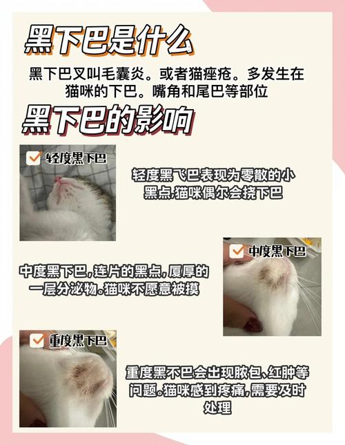猫咪黑下巴会疼吗,猫咪黑下巴对猫咪有影响吗-第4张图片-后鲨宠物 猫咪黑下巴会疼吗,猫咪黑下巴对猫咪有影响吗-第4张图片-后鲨宠物