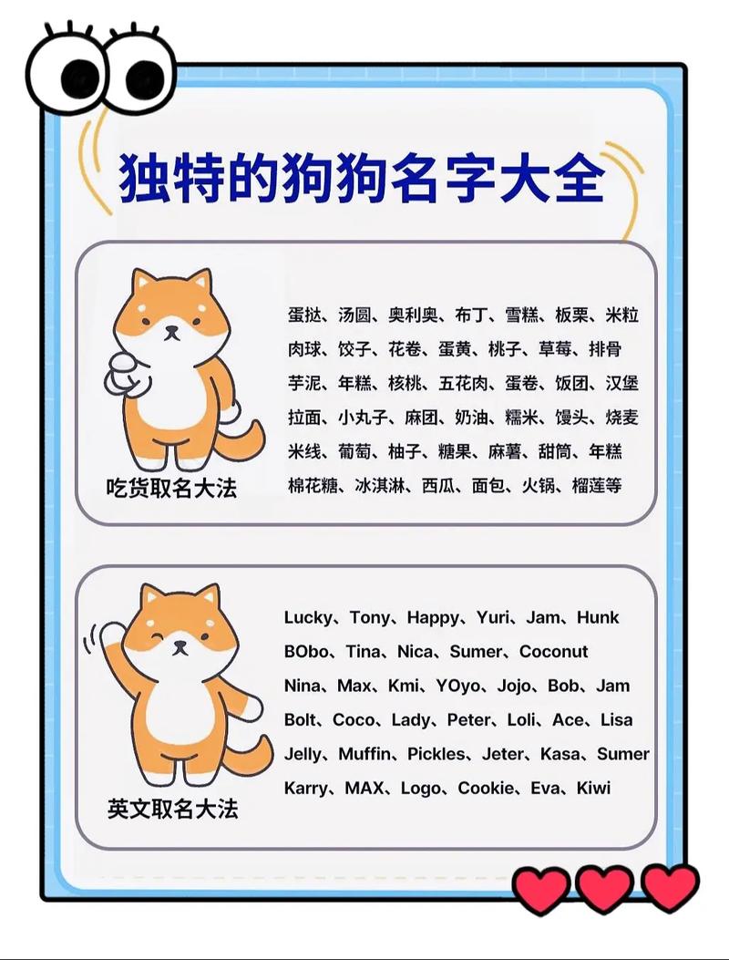 给狗狗取个逗比的名字_给狗狗取搞笑名字-第4张图片-后鲨宠物 给狗狗取个逗比的名字_给狗狗取搞笑名字-第4张图片-后鲨宠物