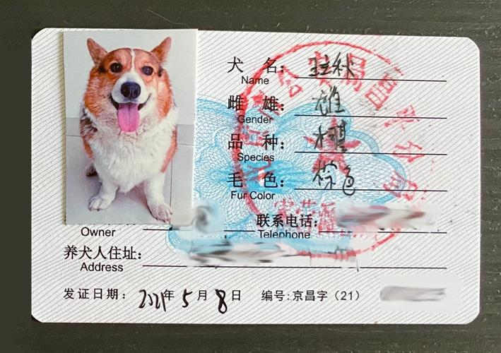 狗狗办狗证要多少钱_狗狗办狗证要多少钱一个-第2张图片-后鲨宠物 狗狗办狗证要多少钱_狗狗办狗证要多少钱一个-第2张图片-后鲨宠物